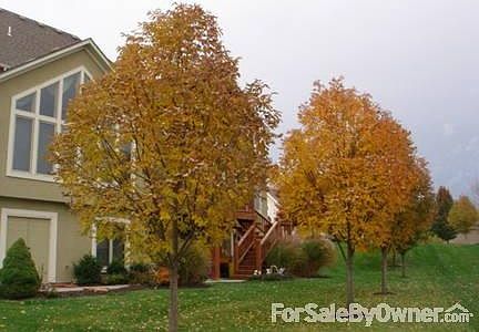 From back of home looking North to back
						:
						Beautiful setting, Double doors lower left enter into work shop area.