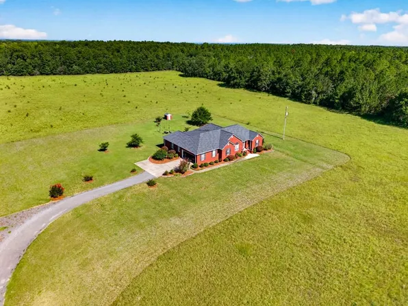 481 & 494 Sandpit Rd, Mauk, GA 31058