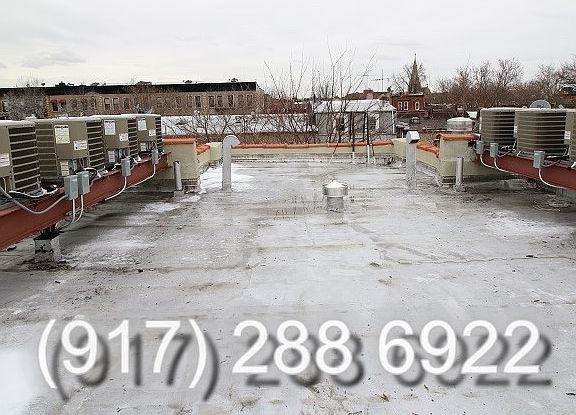 4th image of 675 Halsey St APT 2B