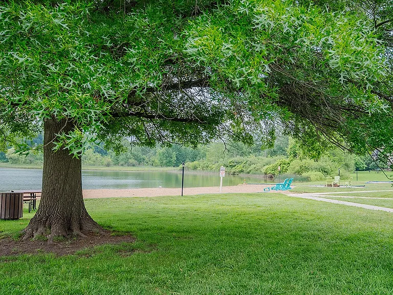 Mature Trees Throughout