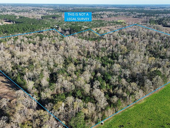 2nd image of Farley Green Rd