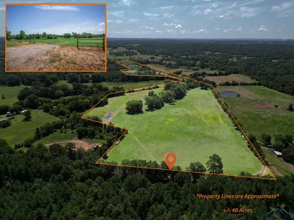 County Road 401 S, Henderson, TX 75654