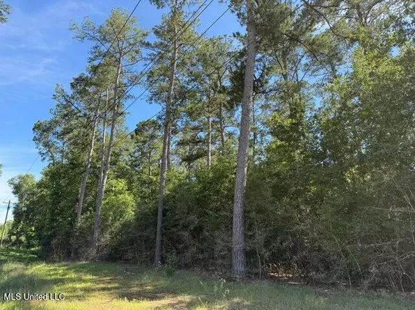 2 Acres Hwy #49, Collins, MS 39428