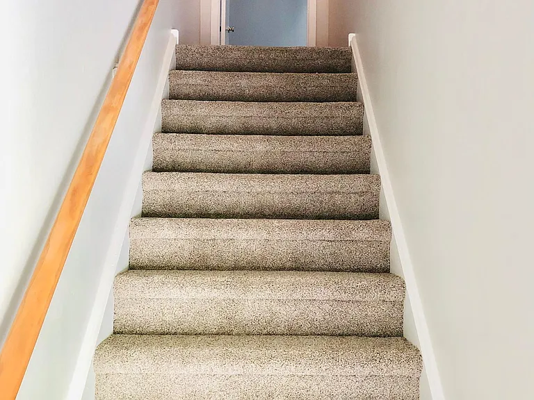 36 Deerberry Ln — Photo 17