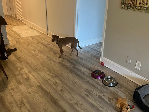 4th image of 9481 Evergreen Pl APT 303