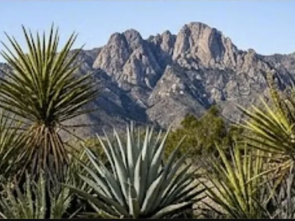 63330 Jeraboa Rd, Mountain Center, CA 92561