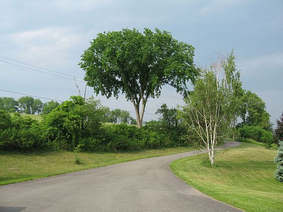 View of ipen end of driveway