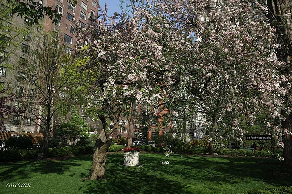 Sold by Corcoran | media 26