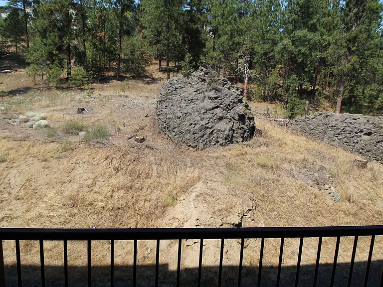 The Retreat at 5-Mile — Photo 13
