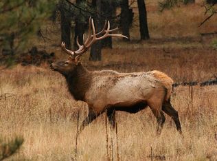 6366 Old Forest Trl, Show Low, AZ 85901