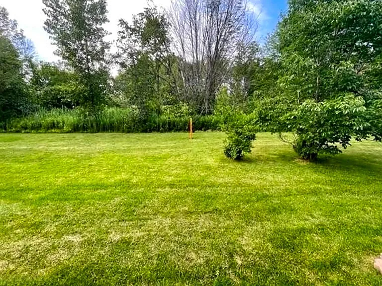 98 Harvard Rd — Photo 45