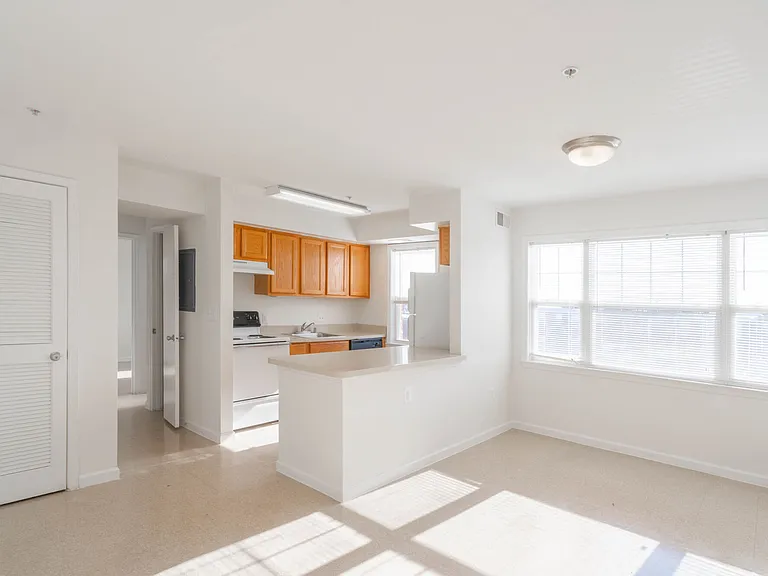 Living Room And Kitchen Area