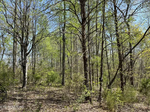 101 Fairview Rd, Tellico Plains, TN 37385