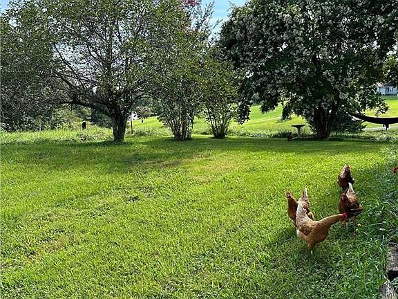 4th image of 1063 Pell Rd