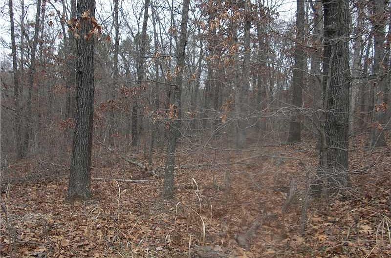 2nd image of Clophill Ln