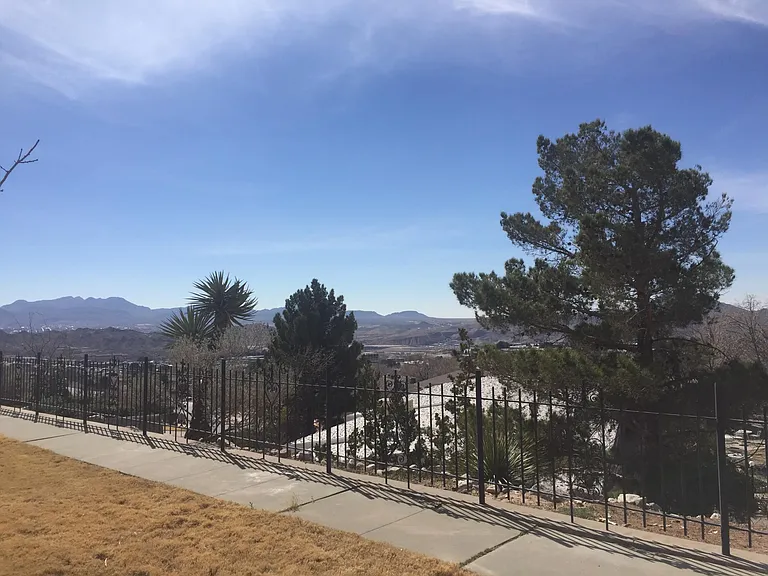 View from the patio