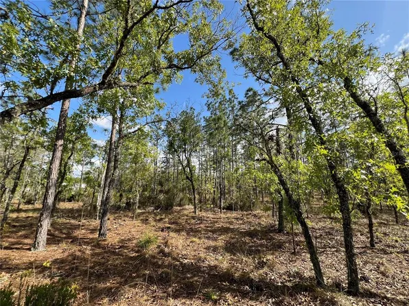 TBD NE 152ND COURT LOT 9, WILLISTON, FL 32696