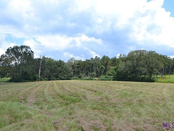2nd image of 90109 Basil Ln