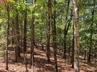 9 Hillside Trl, Mount Ida, AR 71957