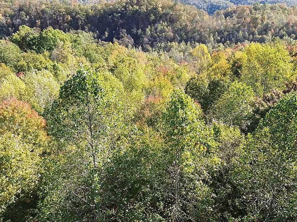 2nd image of 158 Whistle Valley Rd