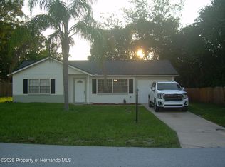 1139 Bentley Ave, Spring Hill, FL 34608