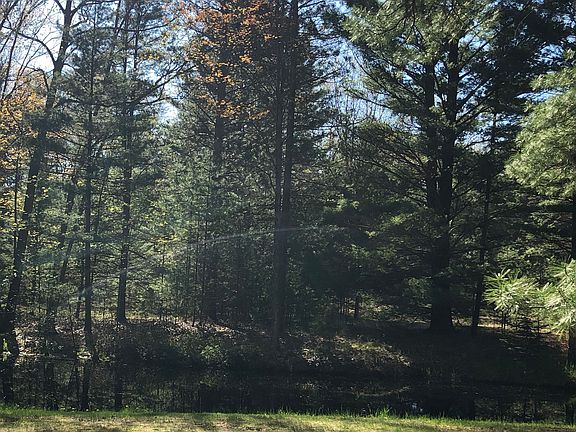 Backyard Pond and fire pit