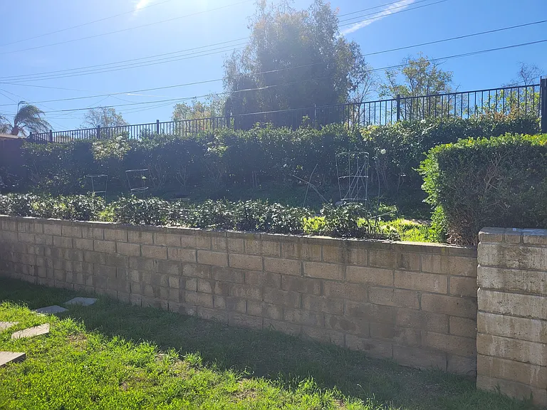 639 Calle Tulipan — Photo 10