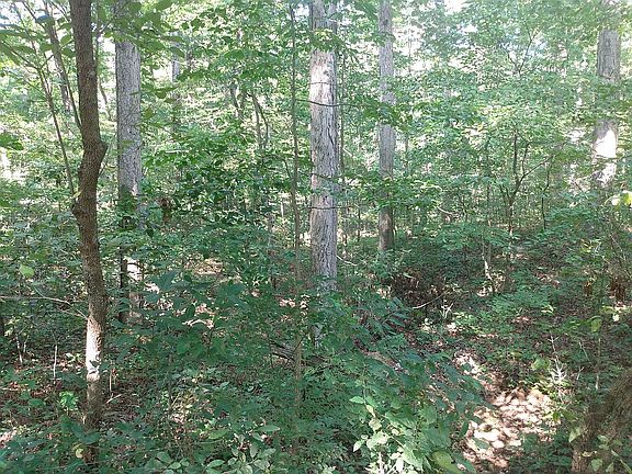 5th image of 0 Glen Oak Dr Lot 10
