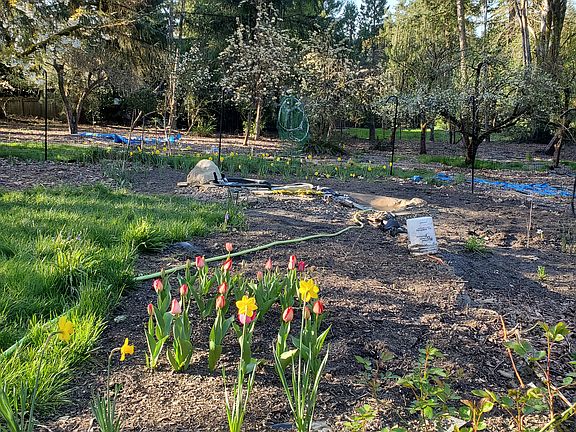 3rd image of 920 SW Stephenson Ct