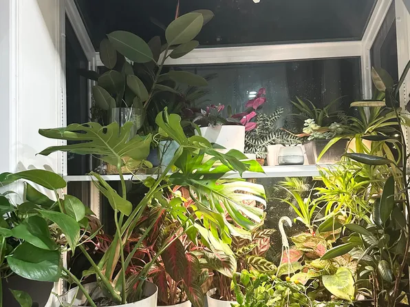 204-22 45th Drive image 16 of 16