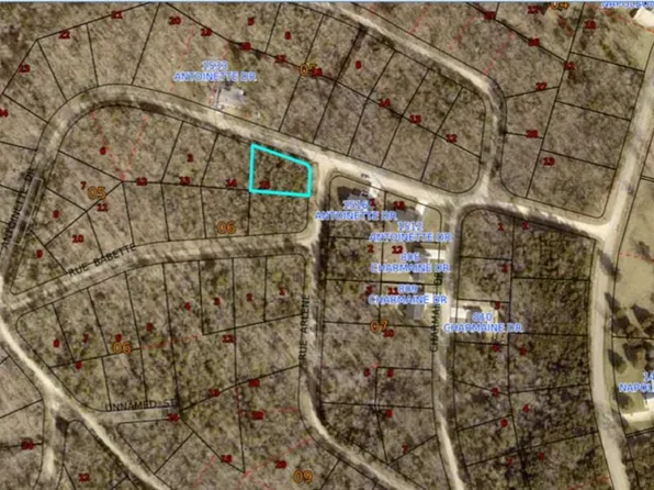 LOT 1 Antoinette Dr, Bonne Terre, MO 63628