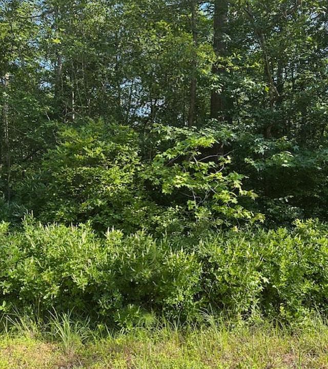 1st image of 22 Lake Dr