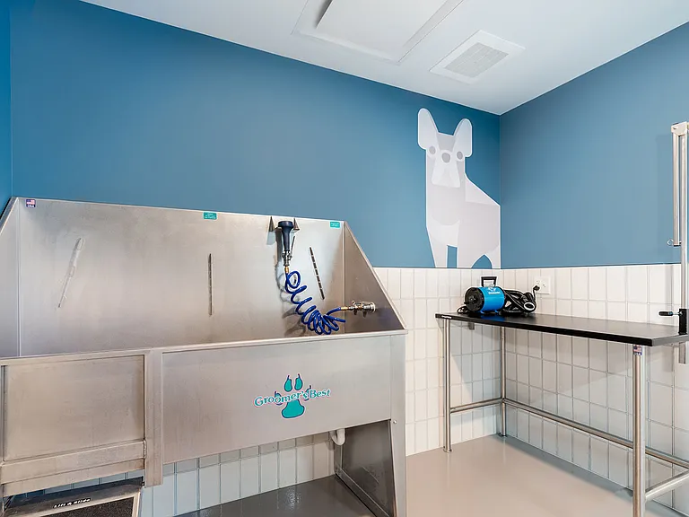 Keep your furry companions looking their best with Eleven33's on-site pet spa featuring professional-grade washing and grooming stations for easy care days.