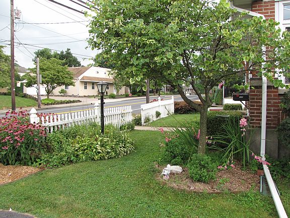 Front yard