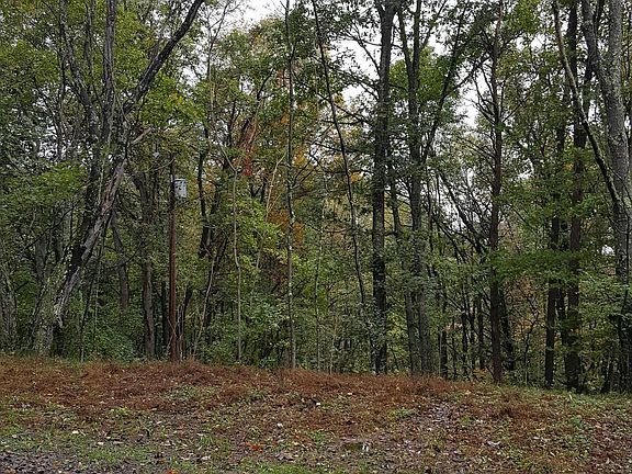 2nd image of 25305 Old Williams Rd NE