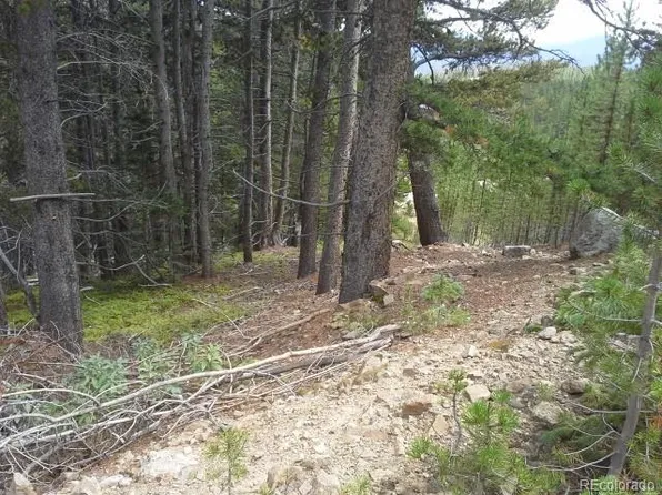 Glory Hole LOT 396, Idaho Springs, CO 80452