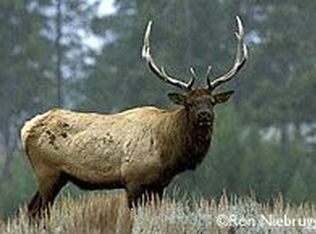 5601 Kootenai River Rd, Libby, MT 59923