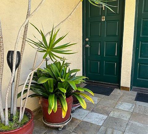 Front door in enclosed sunny courtyard