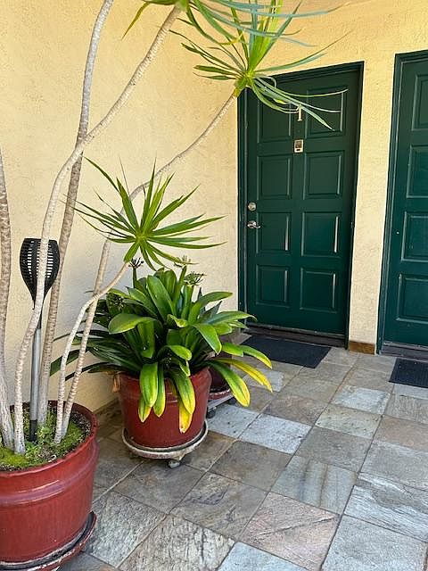 Front door in enclosed sunny courtyard