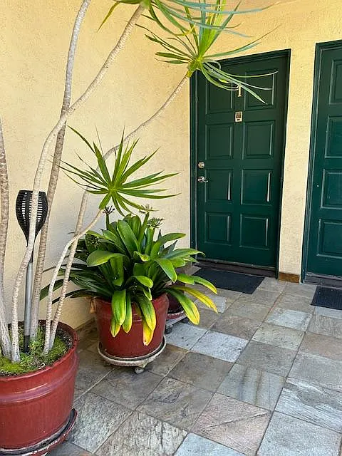 Front door in enclosed sunny courtyard