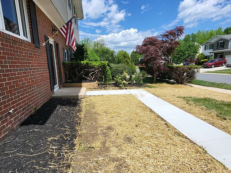 408 Laburnum Rd — Photo 24