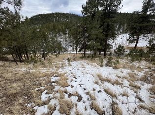 20 Brewer St #70, Bailey, CO 80421