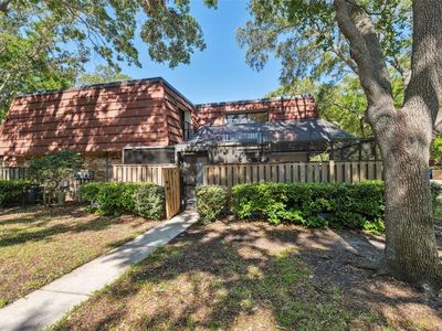2722 11th Ct #50A, Palm Harbor, FL, 34684