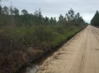 0 Hilton Hall Rd, Reidsvile, GA 30453