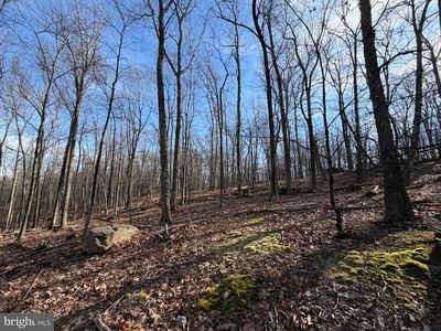 331 Whiteface Cir, Zion Grove, PA, 17985