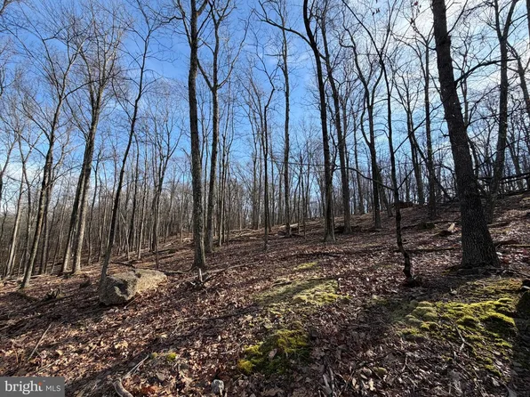 331 Whiteface Cir, Zion Grove, PA 17985