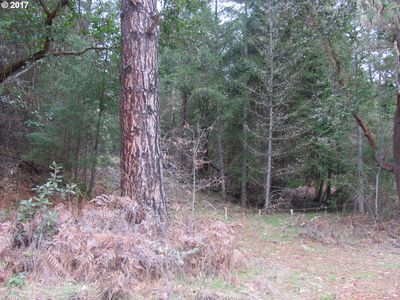 5025 Azalea Glen Rd, Glendale, OR, 97442