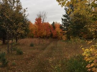 Sandtown Rd, Curtis, MI 49820