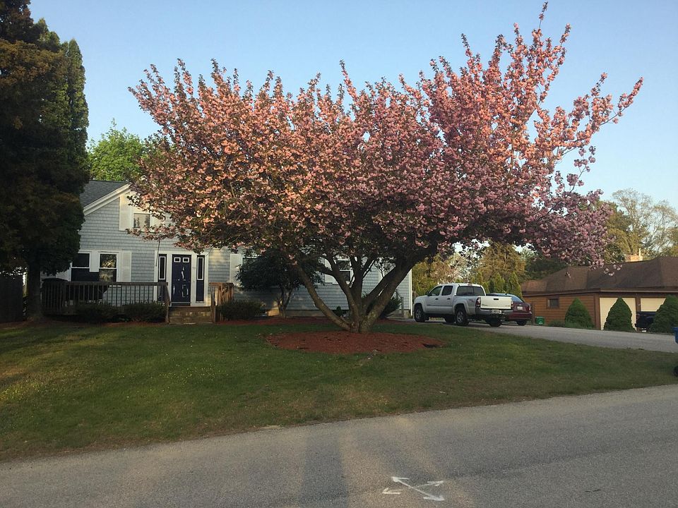 1st image of 53 Karison St #2