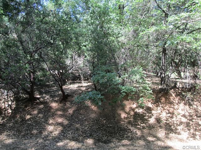 2nd image of 16410 Ponderosa Dr